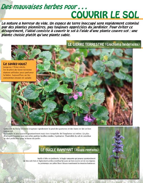 mauvaises-herbes expo mce mauvaises-herbes expo mce