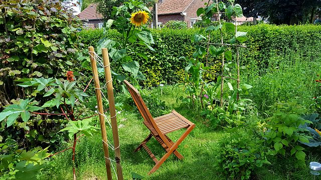 Jardin-permaculture