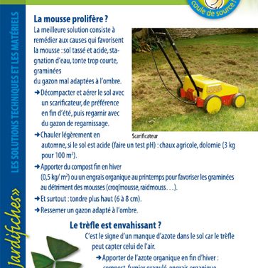 La pelouse – jardifiche n°1 (2019)