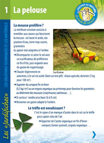 Jardifiche1_pelouse