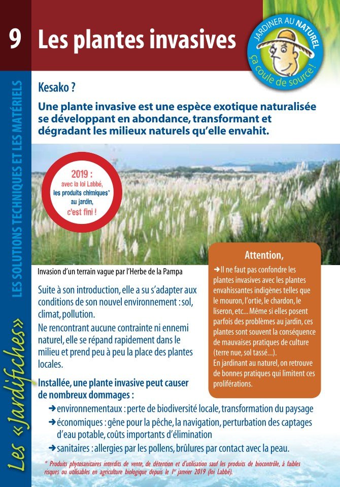 Jardifiche9_plantes-invasives Jardifiche9_plantes-invasives