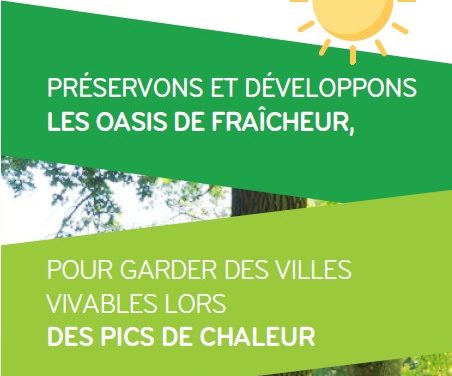 L&rsquo;îlot de fraîcheur (2019)