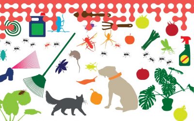 Pesticides : attention à leur utilisation à la maison !