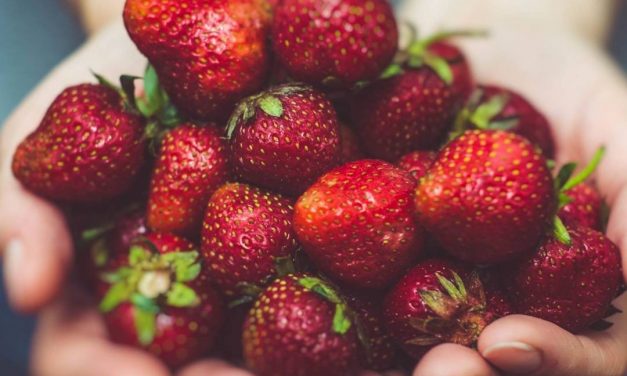 L’alimentation autrement – #12 Merci Babeth