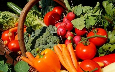 Alimentation et nutrition : nouvelles fiches d’information par la Mce