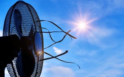 Canicule : comment rester au frais cet été ?