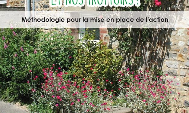 Végétalisons nos murs et nos trottoirs (juin 2020)