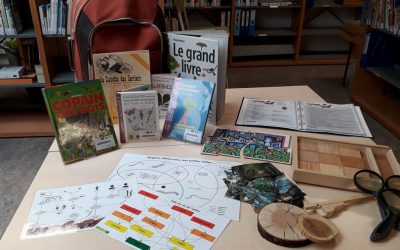 Remarquons les arbres : une malle pédagogique sur les arbres et la forêt