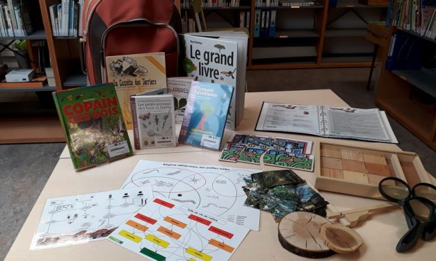Remarquons les arbres