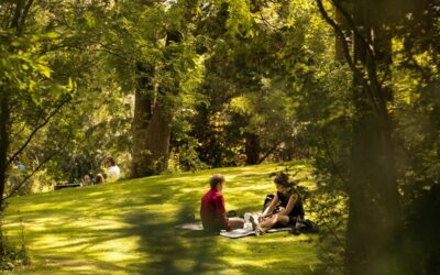 Îlots de fraîcheur autour de vous : les connaissez-vous ?