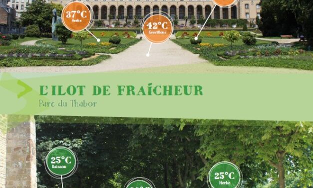 L’îlot de chaleur versus l’îlot de fraîcheur (2021)