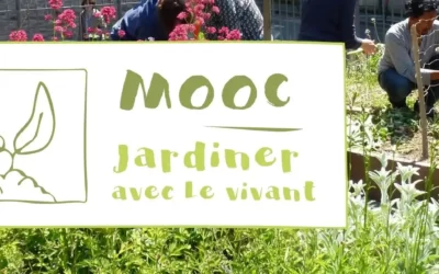 Soutenez le MOOC « Jardiner avec le vivant »