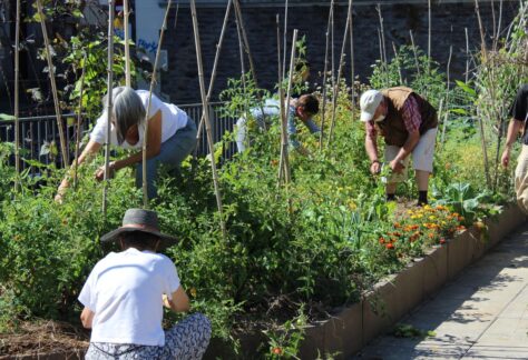 Ateliers jardin à la Mce