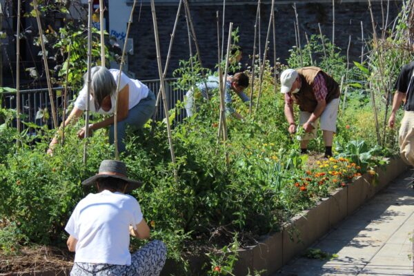 Atelier jardin à la Mce