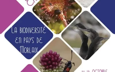 Biodiversité du Pays de Morlaix : une nouvelle expo à la Mce !