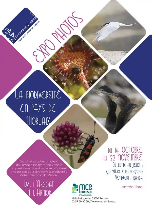 Exposition-biodiversite-morlaix_bretagne-vivant