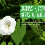 <strong>Jardins et espaces verts au naturel : rencontre régionale le 8 décembre 2022</strong>