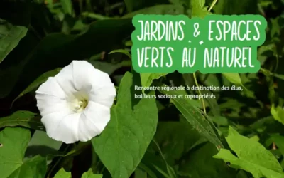 Jardins et espaces verts au naturel : rencontre régionale le 8 décembre 2022