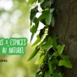 Webinaires : espaces verts au naturel, inscrivez-vous !