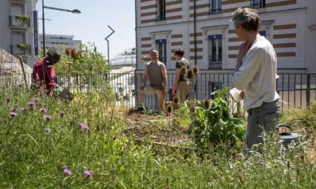 <strong>48h de l’Agriculture urbaine : la Mce ouvre son jardin</strong>