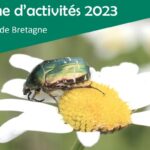 BV_invertebres-bretagne2023