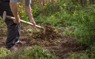 Atelier jardin : chaque mardi midi à la Mce