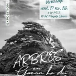Les arbres bretons en photos : nouvelle exposition à la Mce