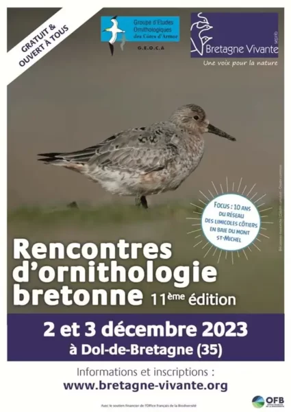 rencontres ornithologie bretonne
