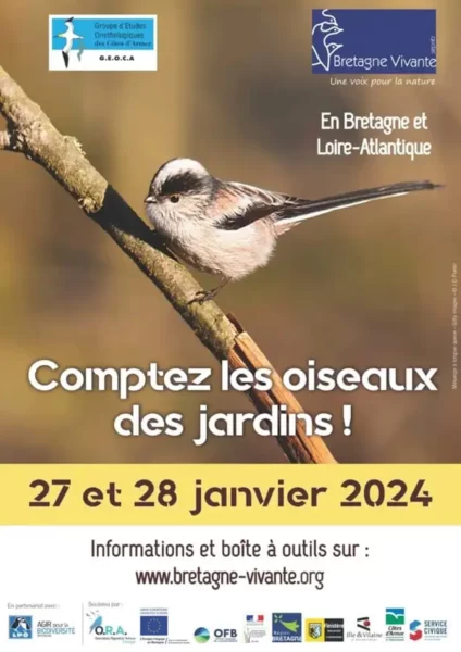 oiseaux-des-jardins_comptage2024