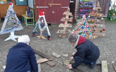 Semaine de l’arbre 2023 : retour sur une programmation riche et diversifiée