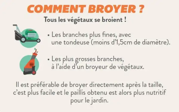 broyer comment 600x378 1