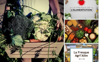 2 fresques alimentation pour mieux comprendre les enjeux !