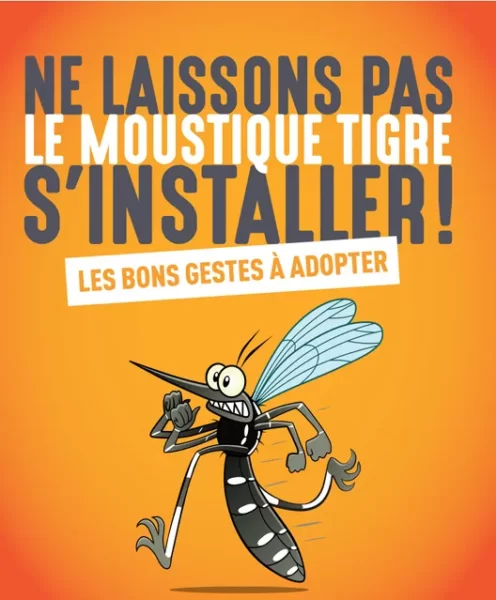 visuel moustique tigre