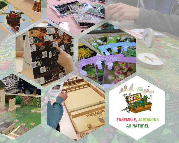 Photo projet malle