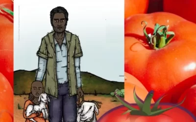 Tomate Impact – nouvelle exposition à la Mce en mai-juin 2024
