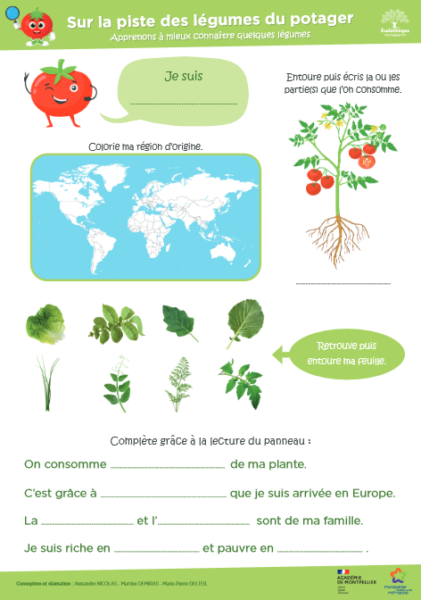 image piste legumes potager2