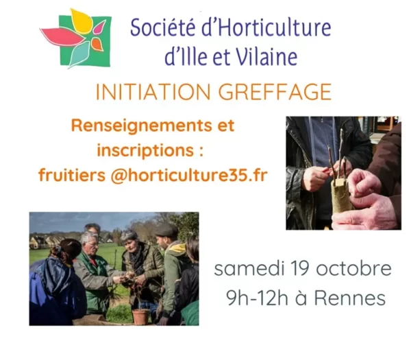 initiation greffade SH35
