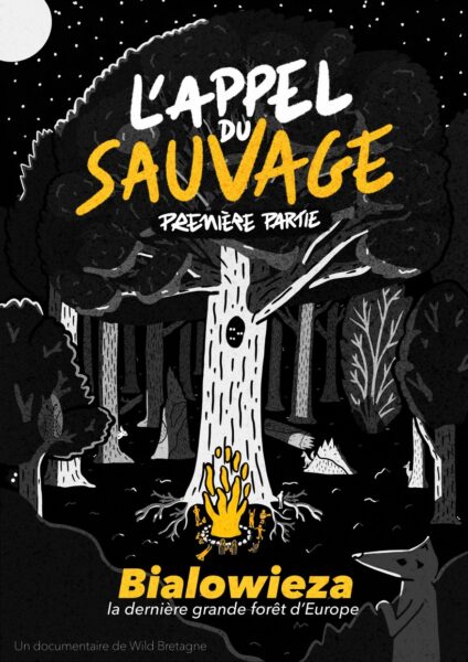 Projection du film "Bialowieza, la dernière grande forêt d'Europe"