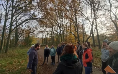 La semaine de l’arbre 2024 : plus de 600 participants