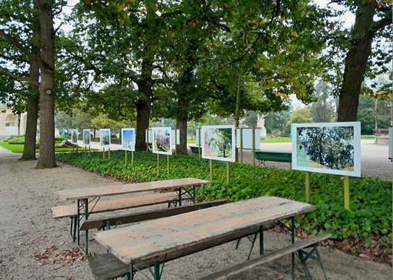 expo thabor arbre gens
