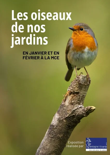 2026_01_BV-oiseaux-des-jardins