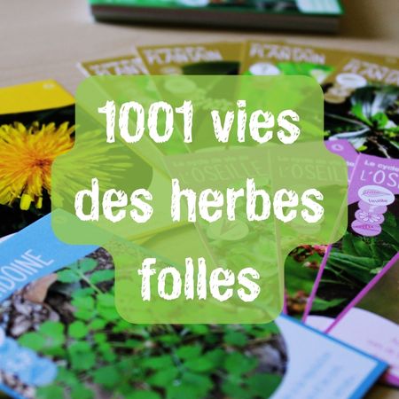 Biodiv 1001vies 1