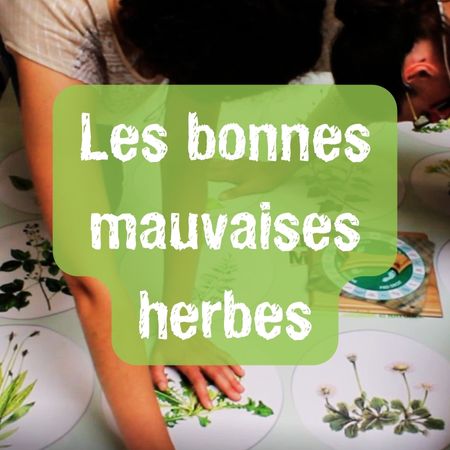 Biodiv bonnes mauvaises herbes 1