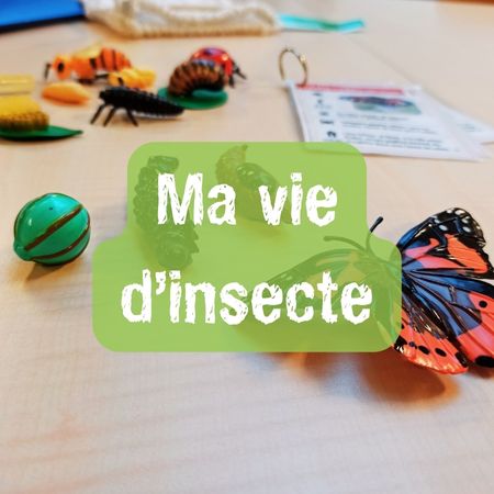 Biodiv ma vie insecte 1