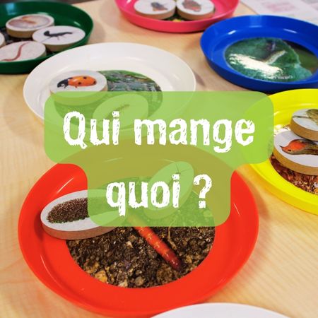 Biodiv qui mange quoi 1