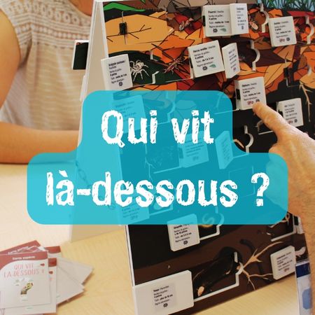 Sol qui vit la dessous 1