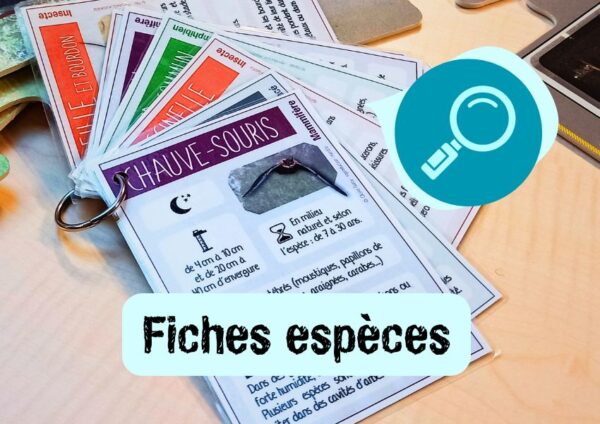 malle pedagogique fiche espece