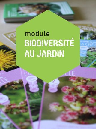 malle-pedagogique_module-biodiversite