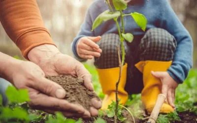 Trans’parents : un projet ambitieux de la Société d’Horticulture 35