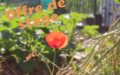 Jardinage au naturel : création d’un portail d’e-learning – Offre de stage